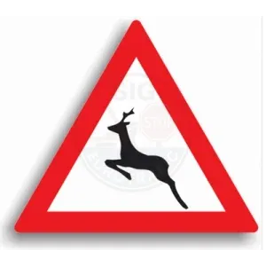 A26 - Animale